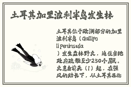 精品一区二区**a v